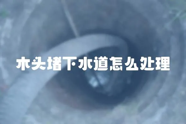 木頭堵下水道怎么處理
