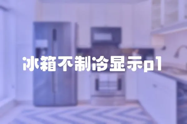 冰箱不制冷顯示p1