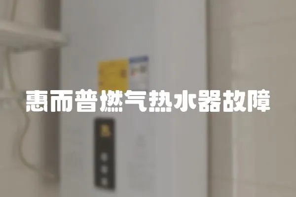 惠而普燃氣熱水器故障