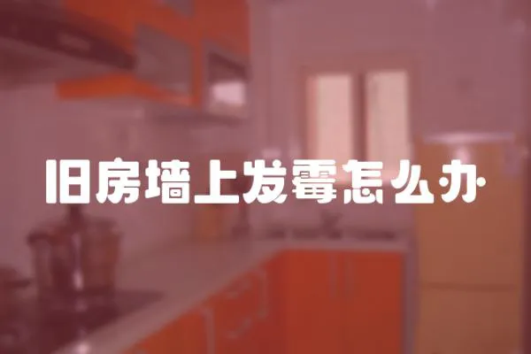 舊房墻上發霉怎么辦