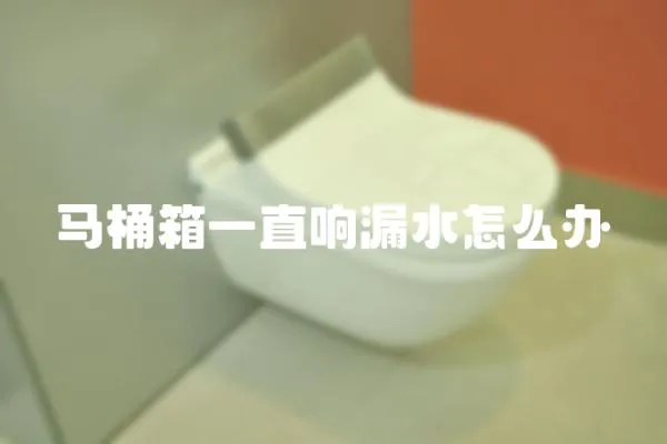 馬桶箱一直響漏水怎么辦