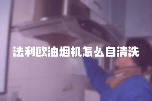 法利歐油煙機怎么自清洗