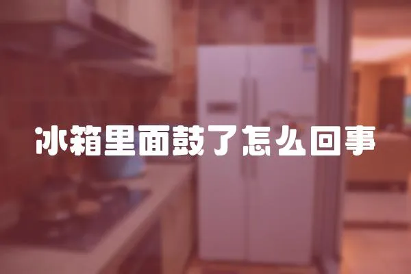 冰箱里面鼓了怎么回事