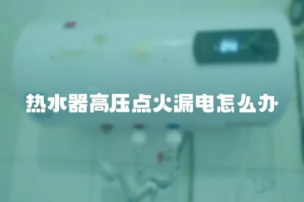 熱水器高壓點火漏電怎么辦