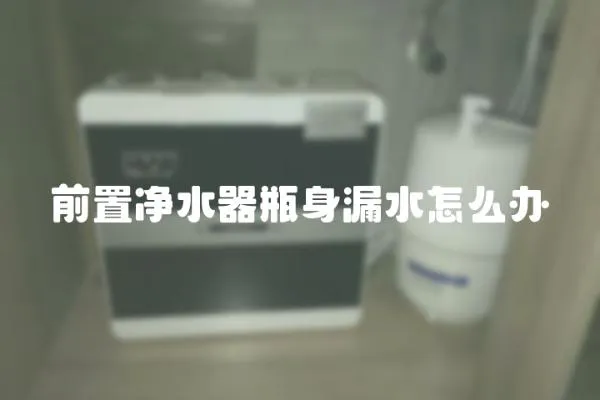 前置净水器瓶身漏水怎么办