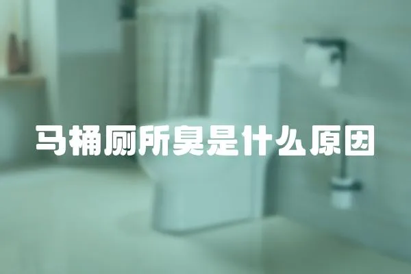 馬桶廁所臭是什么原因