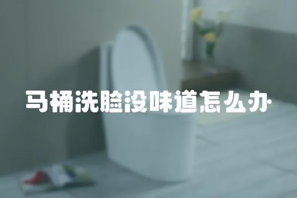 馬桶洗臉沒味道怎么辦