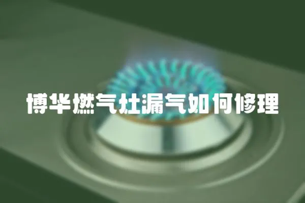 博华燃气灶漏气如何修理