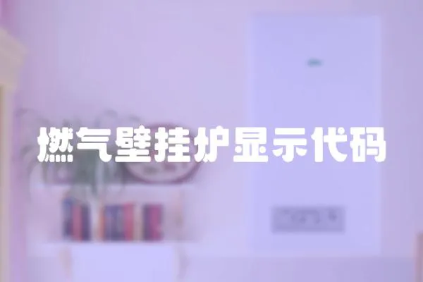 燃氣壁掛爐顯示代碼