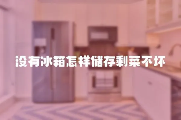沒有冰箱怎樣儲存剩菜不壞