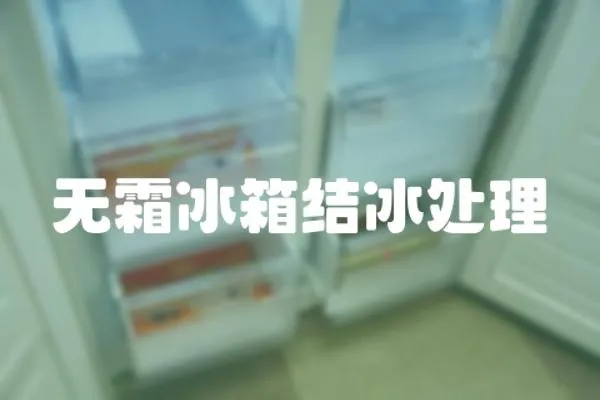 無霜冰箱結冰處理