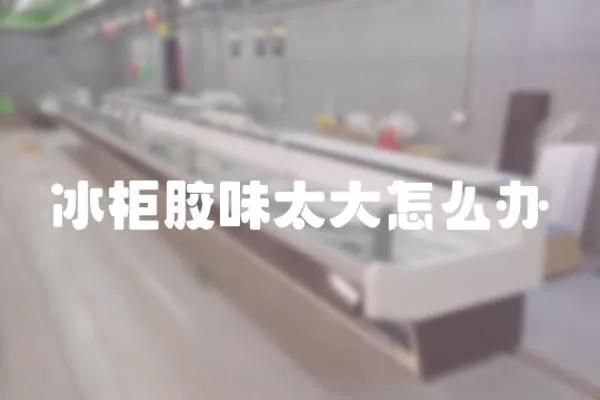 冰柜膠味太大怎么辦
