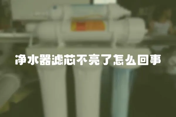 凈水器濾芯不亮了怎么回事