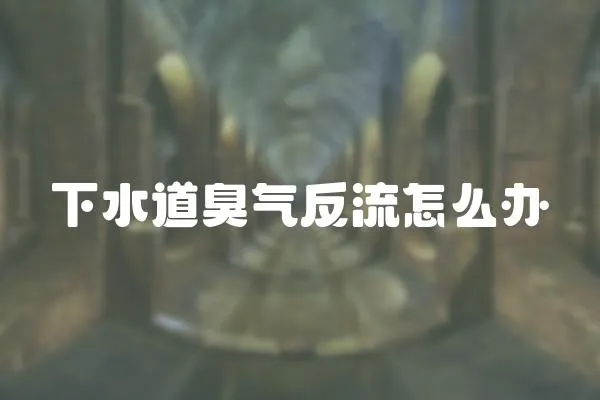 下水道臭氣反流怎么辦