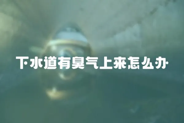下水道有臭氣上來怎么辦