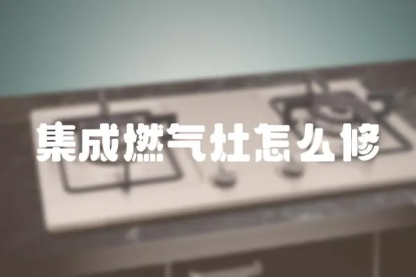 集成燃?xì)庠钤趺葱?></a></div>
                    <div   id=