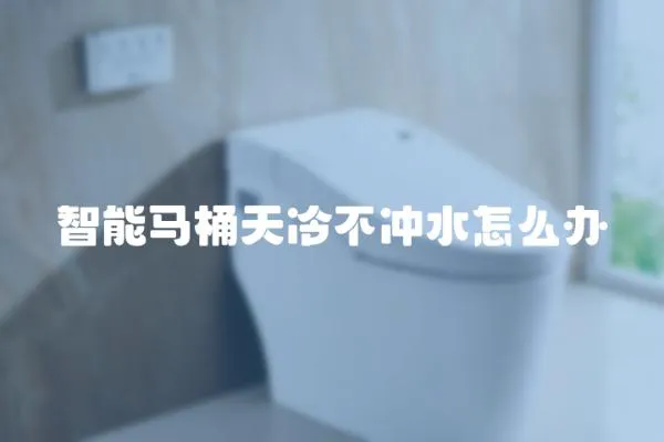 智能馬桶天冷不沖水怎么辦