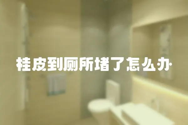 桂皮到廁所堵了怎么辦