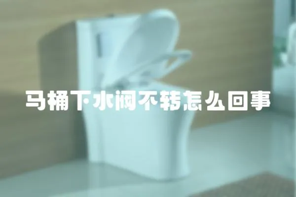 馬桶下水閥不轉怎么回事