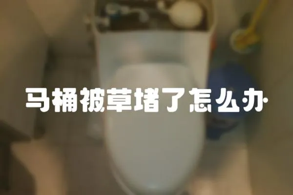 馬桶被草堵了怎么辦