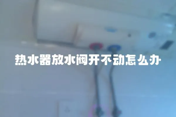 熱水器放水閥開不動怎么辦