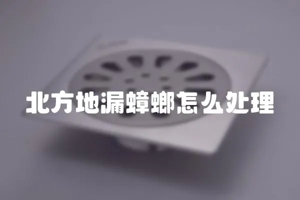 北方地漏蟑螂怎么處理