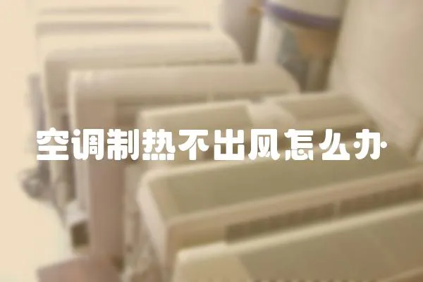 空調(diào)制熱不出風(fēng)怎么辦
