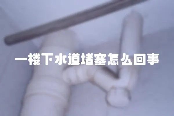一樓下水道堵塞怎么回事