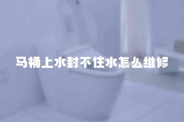 馬桶上水封不住水怎么維修
