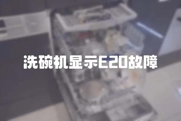 洗碗機顯示E20故障