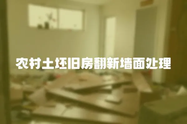 農村土坯舊房翻新墻面處理