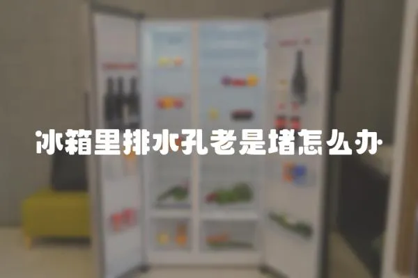 冰箱里排水孔老是堵怎么辦