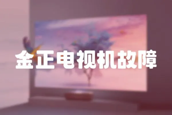 金正電視機故障