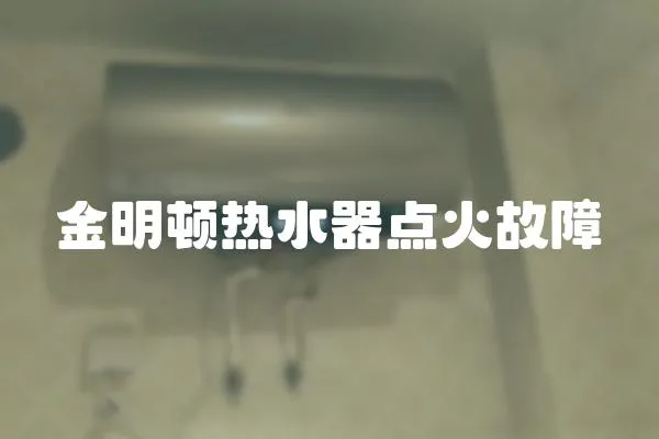 金明頓熱水器點火故障