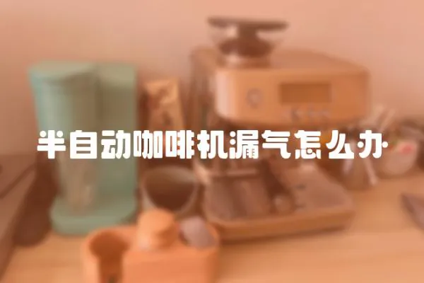 半自動(dòng)咖啡機(jī)漏氣怎么辦