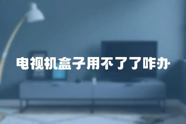 電視機盒子用不了了咋辦