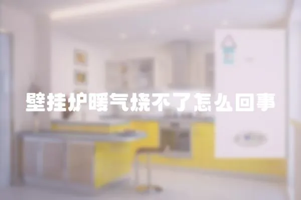 壁掛爐暖氣燒不了怎么回事