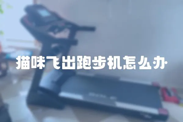 貓咪飛出跑步機怎么辦