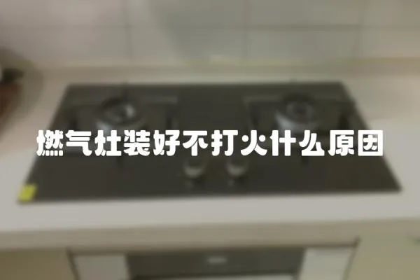 燃?xì)庠钛b好不打火什么原因