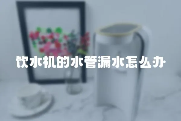 飲水機的水管漏水怎么辦