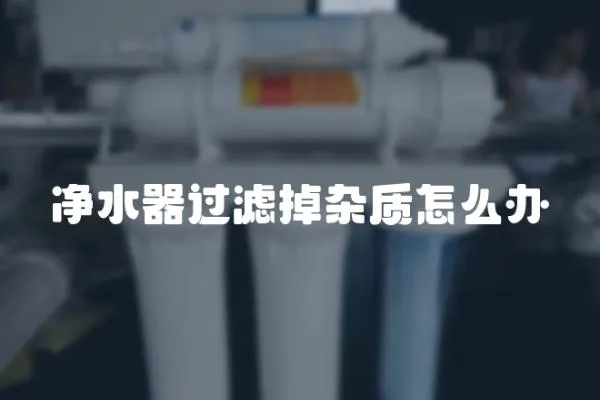 凈水器過濾掉雜質(zhì)怎么辦