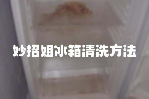 妙招姐冰箱清洗方法