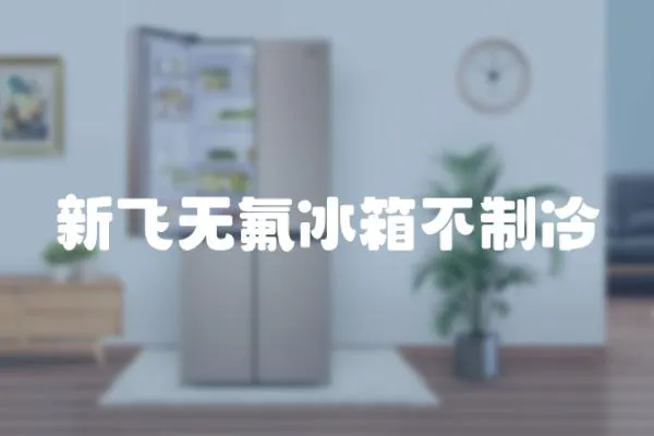 新飛無氟冰箱不制冷