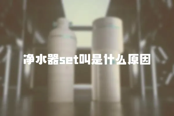 凈水器set叫是什么原因