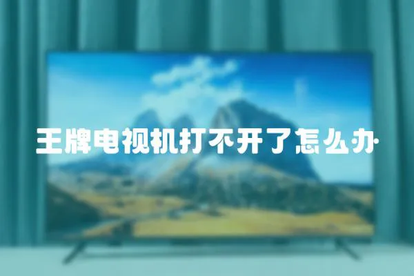 王牌電視機打不開了怎么辦