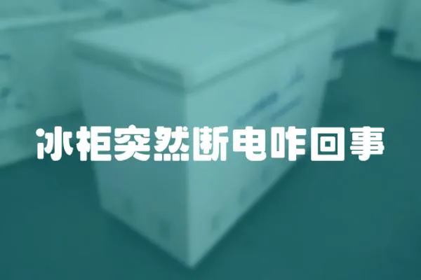 冰柜突然斷電咋回事