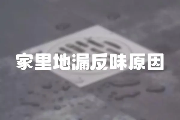 家里地漏反味原因