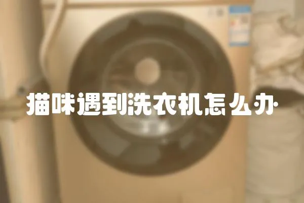 貓咪遇到洗衣機怎么辦