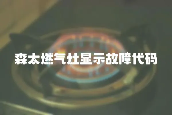 森太燃氣灶顯示故障代碼
