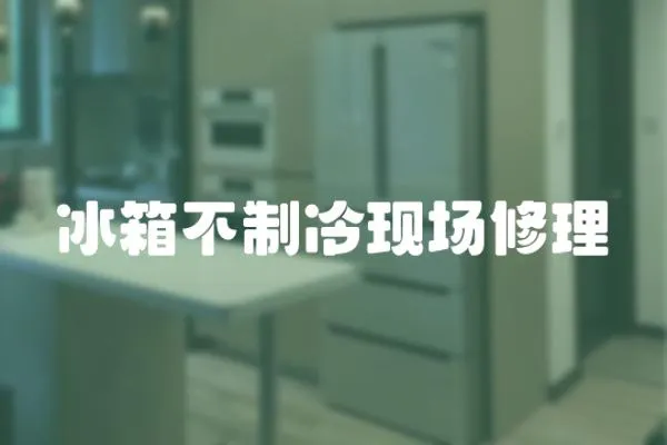 冰箱不制冷現場修理